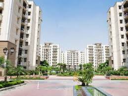 Property Amenities